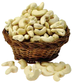 SCashews - Cashew nuts supplier